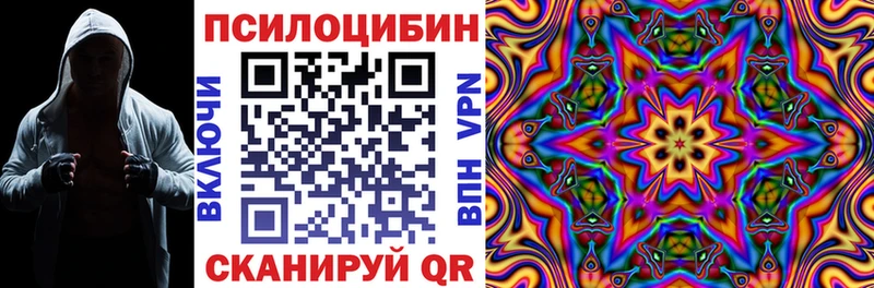 МЕГА зеркало  Вихоревка  Галлюциногенные грибы Psilocybine cubensis  купить  сайты 